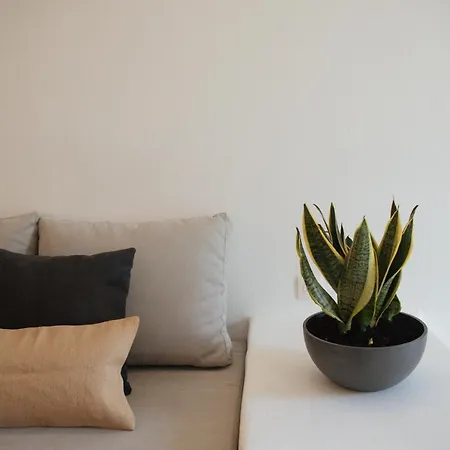 Assyrtiko By A Terre Cave *