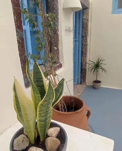 Assyrtiko By A Terre Cave Villa *